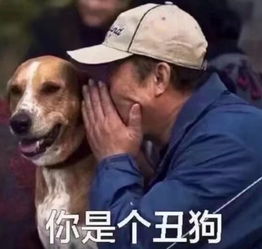 搞笑专用表情包万物皆可盘,把你盘在手心