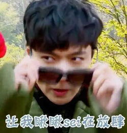 艺兴表情包听说你们想睡我