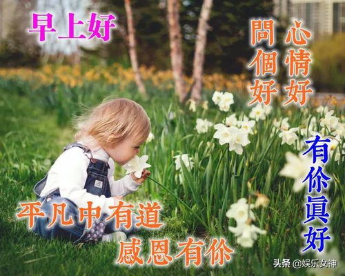别把别人的评价看得太重,凡事只要问心无愧,就不必计较太多