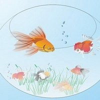 好看金鱼微信头像微信头像图片大全