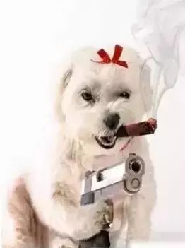 搞笑图片工程人员表情大全第二弹爆笑来袭