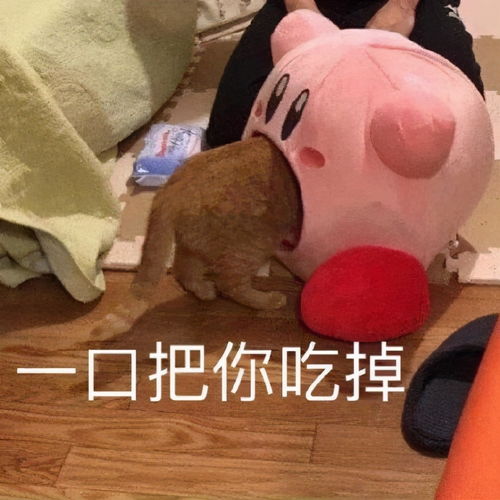 汪星人表情包合集谁偷看谁是狗