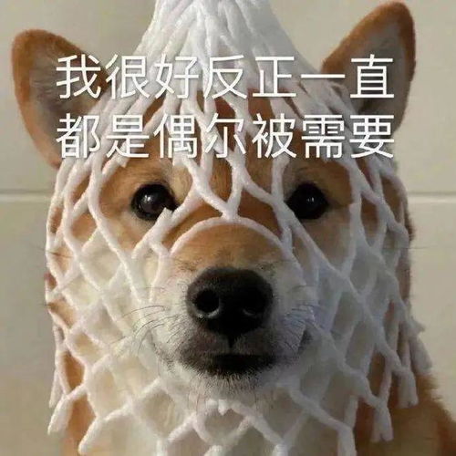 确诊重度脂肪肝,他45天逆袭成功脂肪肝真可以逆转