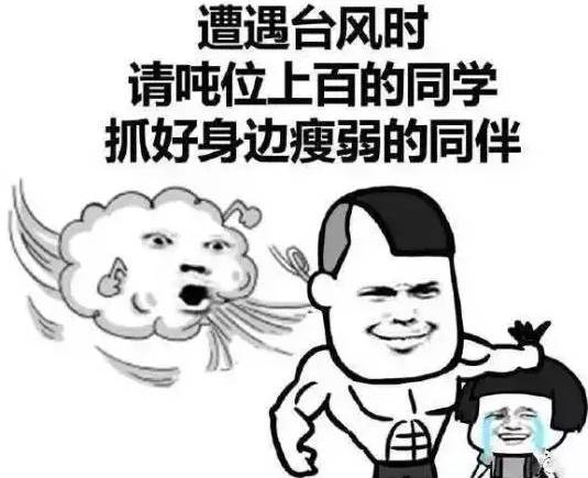 免费送保温杯台风暴雨天嗯是时候来总结一下这个xx发布会了