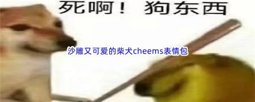 沙雕又可爱的柴犬cheems表情包有哪些沙雕又可爱的柴犬cheems表情包汇总一聚教程网