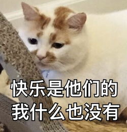 十条段子就现在这物价,离了还能娶得起吗凑合过呗