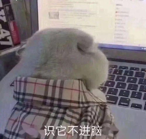 3分钟就学会这种科技风海报原来是这么做的