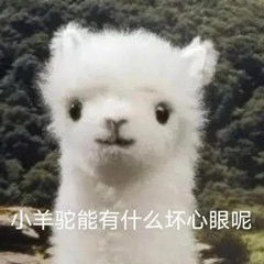 搞笑动物表情包小动物