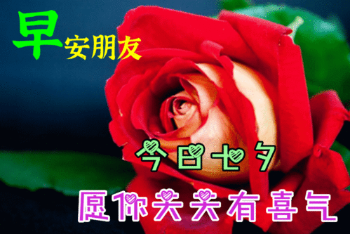 8月14日最漂亮七夕情人节表情图片大全,早晨好动图美图大全