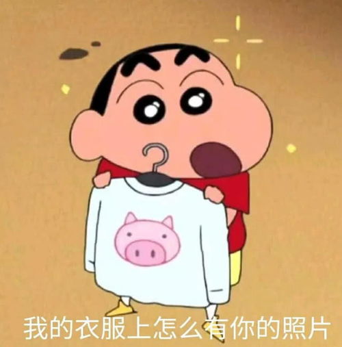 表情搞笑怼人表情包你的照片为什么会在我的衣服上表情