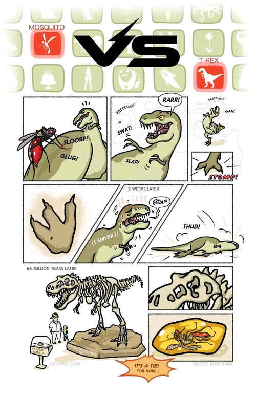 404notfound群友沙雕梗图,吊图,memes,漫画,表情包,搞笑图日更侵删哔哩哔哩