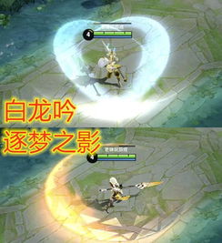 韩信白龙吟vs逐梦之影,限定比不过史诗玩家还好我两个都买了