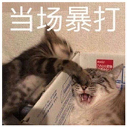 康乐一生b款和康乐一生c款康乐e生有区别吗