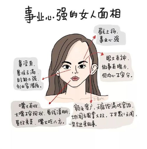网红美女靠一组漫画被刷屏3万次,各大明星疯转,微博狂吸770多万粉,开挂的人生不需要解释