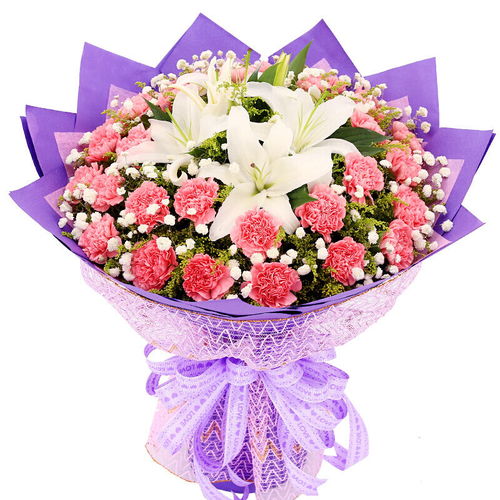 母亲节康乃馨鲜花送妈妈老师长辈病人花束礼盒生日同城配送速递
