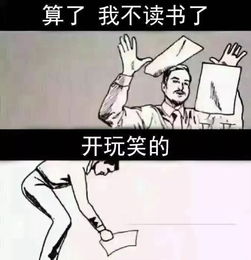 元旦搞笑表情包我是骗子