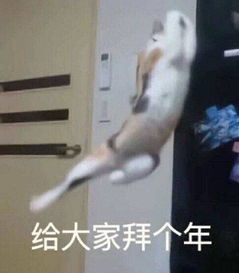 拜年搞笑表情包新年好