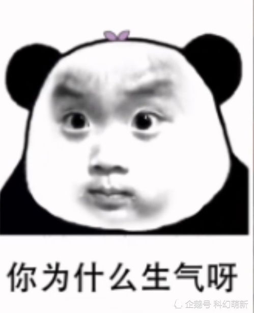每日一笑,你有没有经历过社死现场
