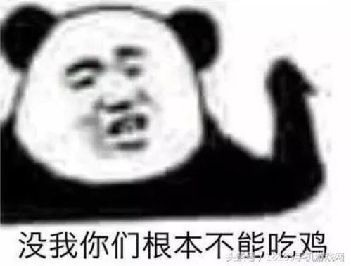 史上最全的绝地求生表情包在此,再也不怕和朋友斗图了