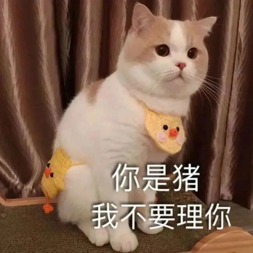 搞笑表情包,微信搞笑表情包动态在哪下载0630期