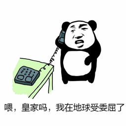 不注意又被罚了,红灯时到底可不可以调头