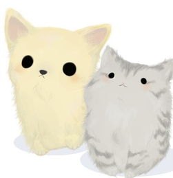 1.12动漫哆啦a梦萌猫