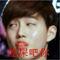 求exo恶搞带字图片