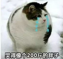 天津相声广播典型的要钱不要命