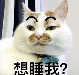 真羡慕你的皮肤,保养的可真厚