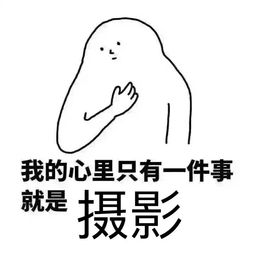 你所在的领域有什么有趣的表情图