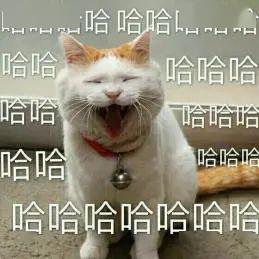 因为两颗水蜜桃,它被扒光了