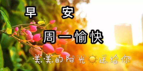 早安表情包搞笑图片问候语