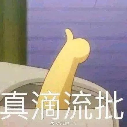 你最近一次和宠物吵架的原因是