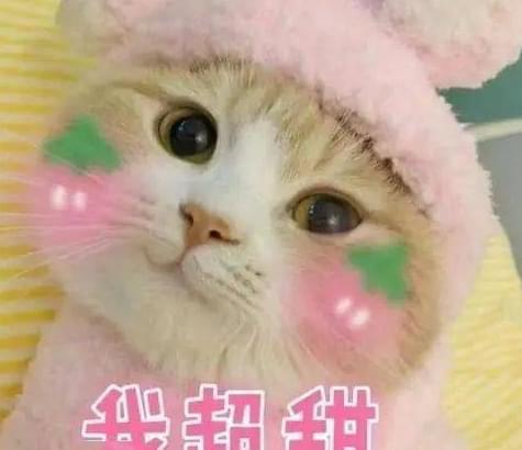 伪cp假恩爱人造糖国产婚恋综艺有多尬