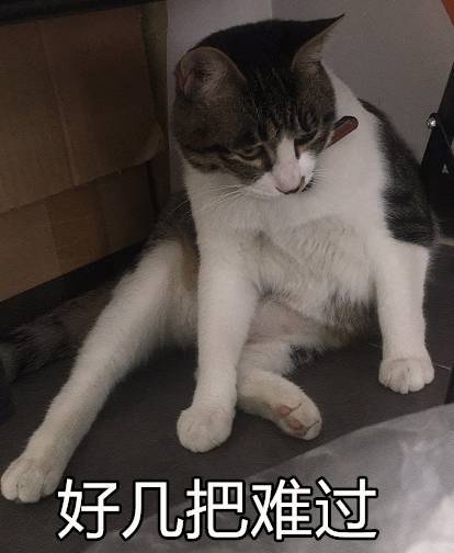 用这些猫咪表情包问爸妈要零花钱,发一张就能要来100块