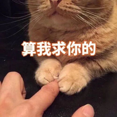 沙雕动图表情包脸气没了
