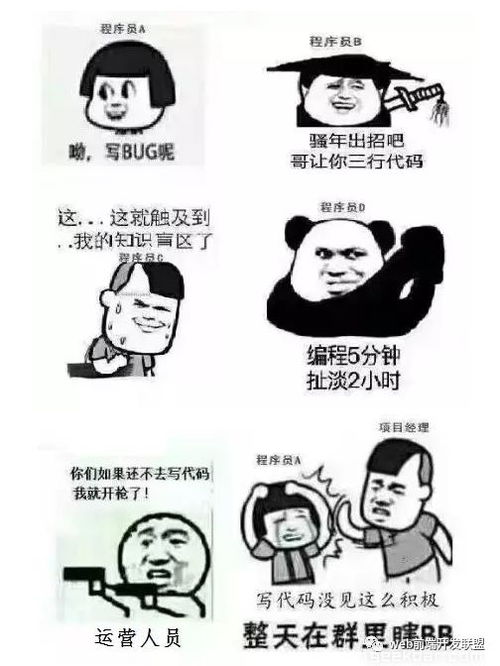 程序员的项目周期爆笑表情包版
