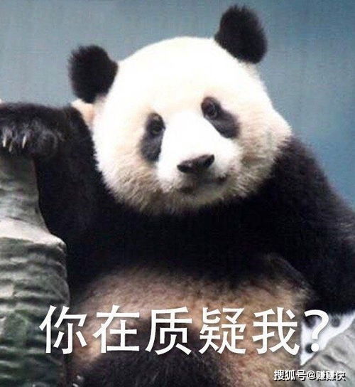 搞笑表情包图片不笑你等我喝够了,喷你哦
