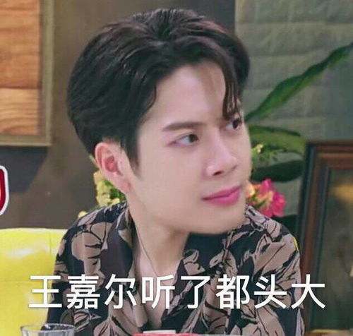 恶搞王嘉尔搞笑表情包