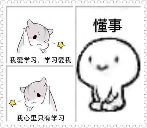 七夕丨那些定格在成电的爱情记忆