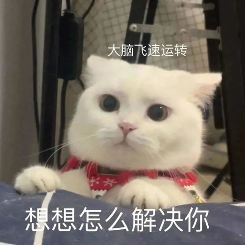 笑掉大牙40句沙雕搞笑文案,开心不能憋着