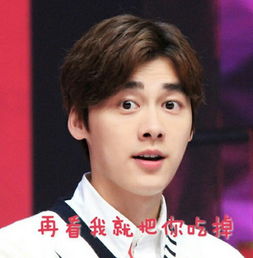 李易峰表情包带字大全峰峰搞笑表情包