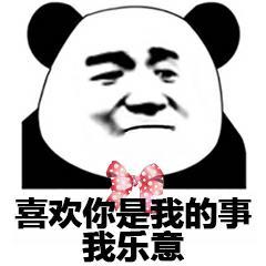 表情包撩人熊猫头表情包,不想撞南墙了,想撞先生的胸膛
