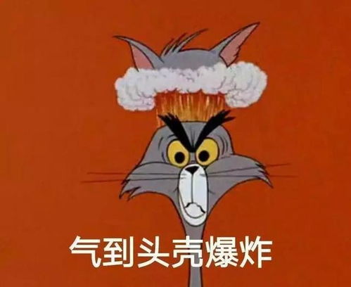 腾讯表态孟美岐宣仪紫宁解约,没门儿