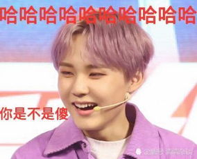 乐华7子爆笑表情包,偶像包袱全无放飞自我,你最喜欢哪一个