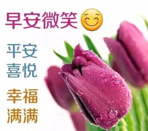 12月31日冬季最新版早晨祝福问候语图片带字超漂亮的早上好表情图片带字