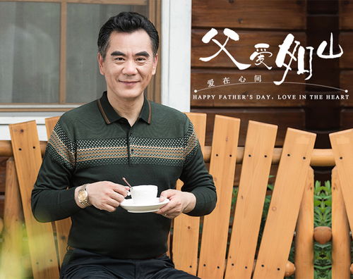 zsm秋装中年男士长袖t恤宽松薄款翻领中老年爸爸装打底衫405060岁