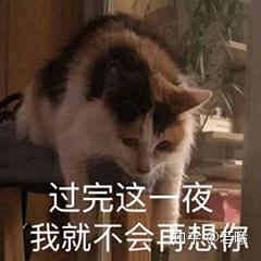 搞笑表情包沙雕图片聊天表情