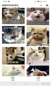 猫猫狗狗表情包小程序