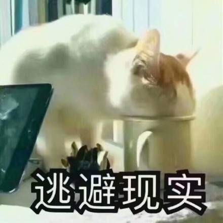 幽默笑话媳妇第一次来我家,吃了三大碗米饭两个猪蹄还有半只鸡